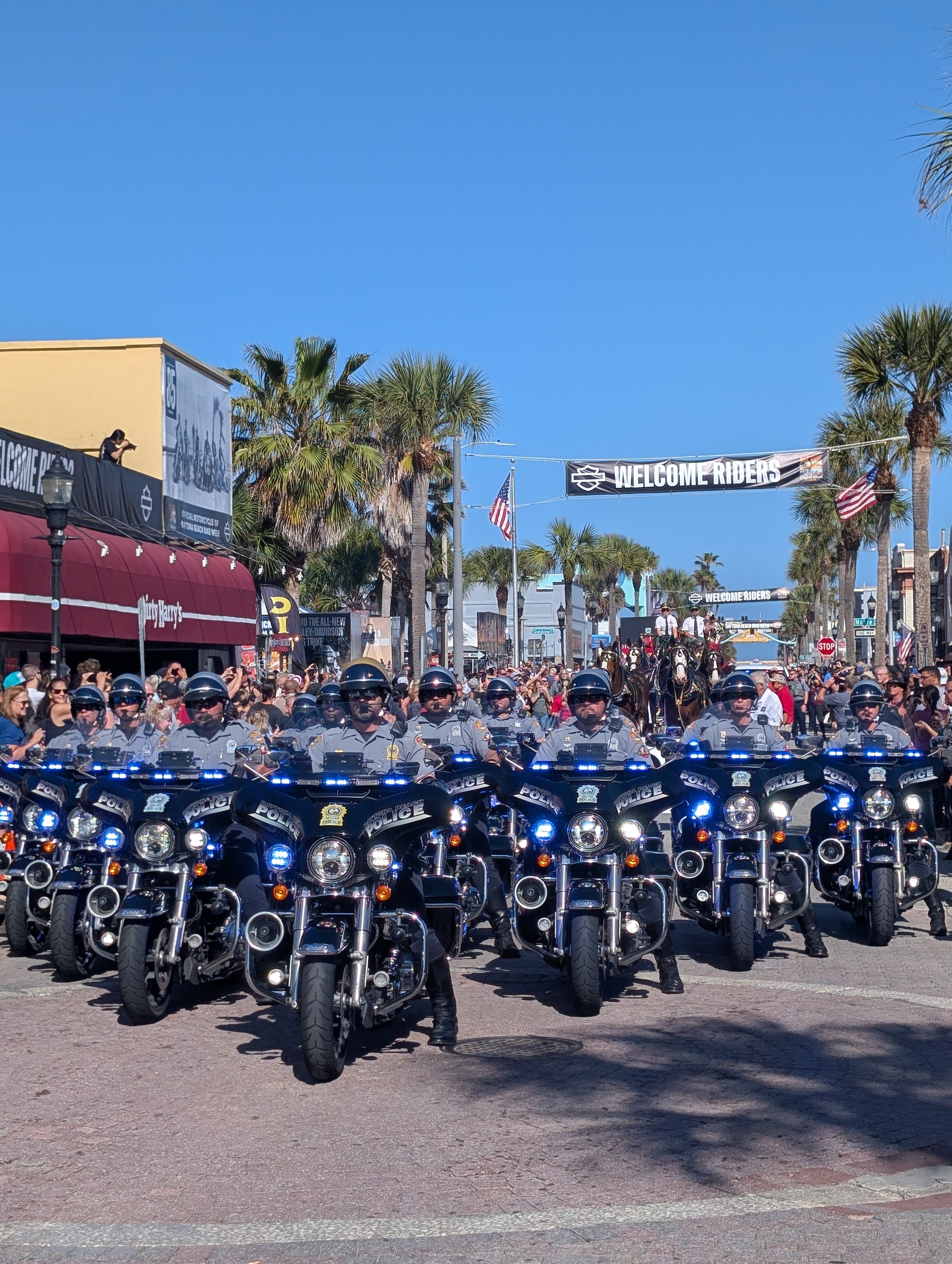 Dead Heads MC gallery image 2